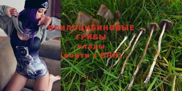 спайс Лабытнанги