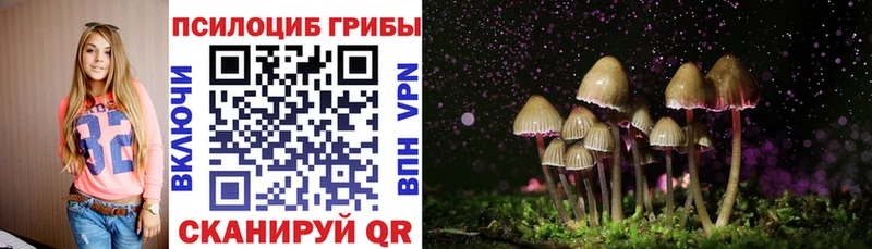 Галлюциногенные грибы Magic Shrooms  мега сайт  даркнет состав  Чухлома 